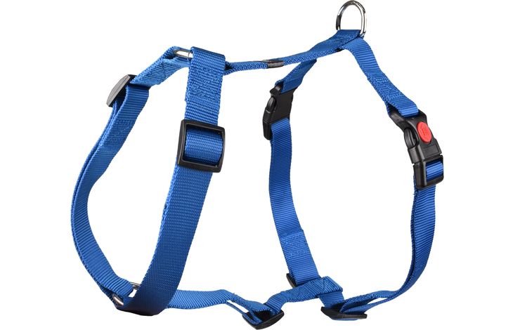 Flamingo Harness H-shape Ziggi Blue