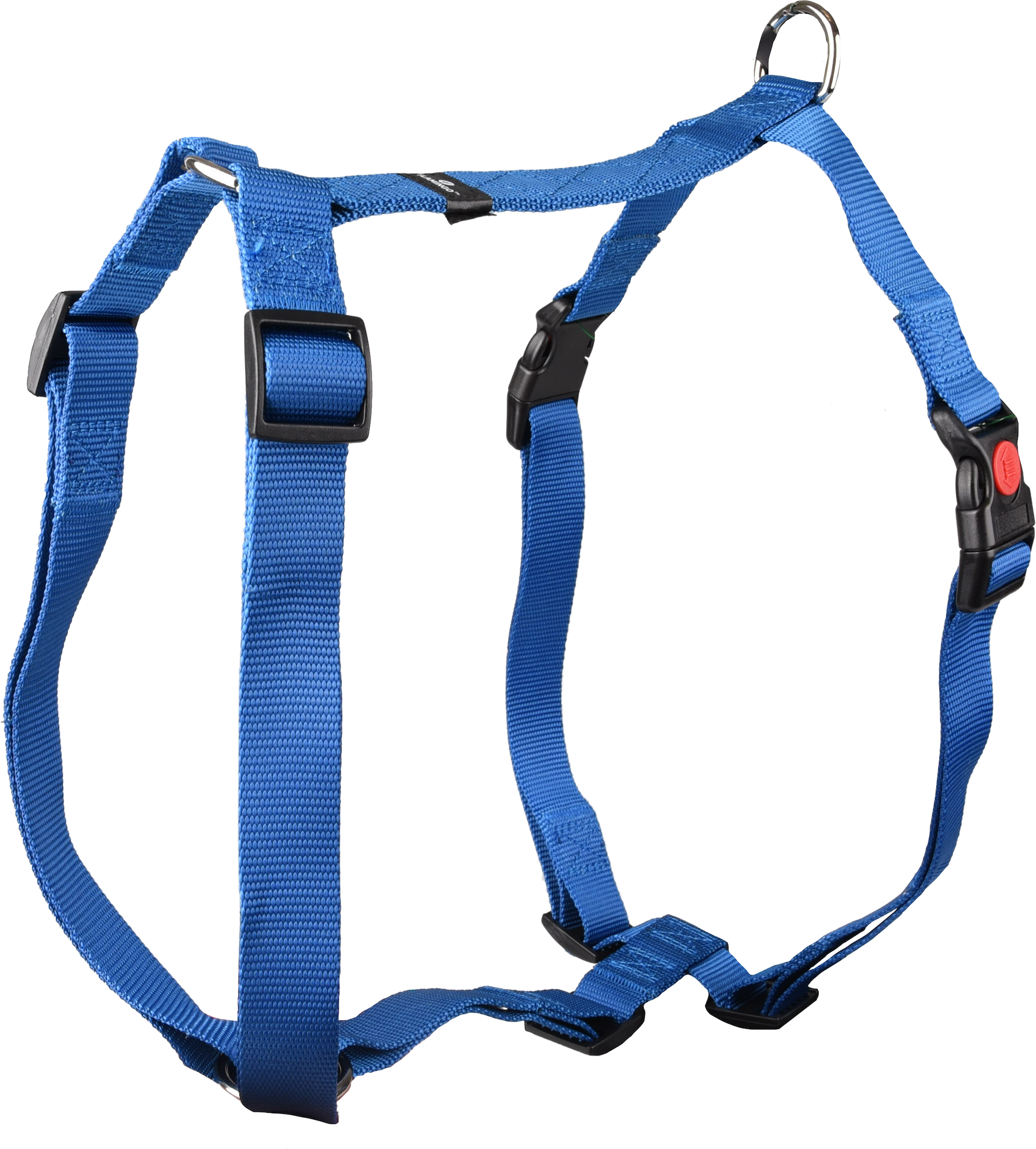 Flamingo Harness H-shape Ziggi Blue
