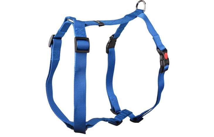 Flamingo Harness H-shape Ziggi Blue