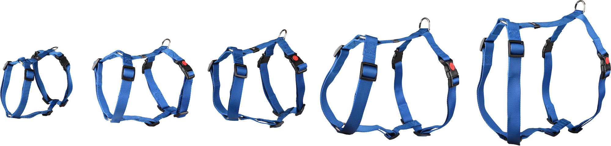 Flamingo Harness H-shape Ziggi Blue