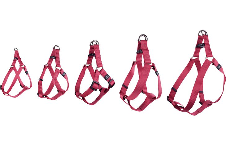 Flamingo Harnas Step&Go Ziggi Kersenrood