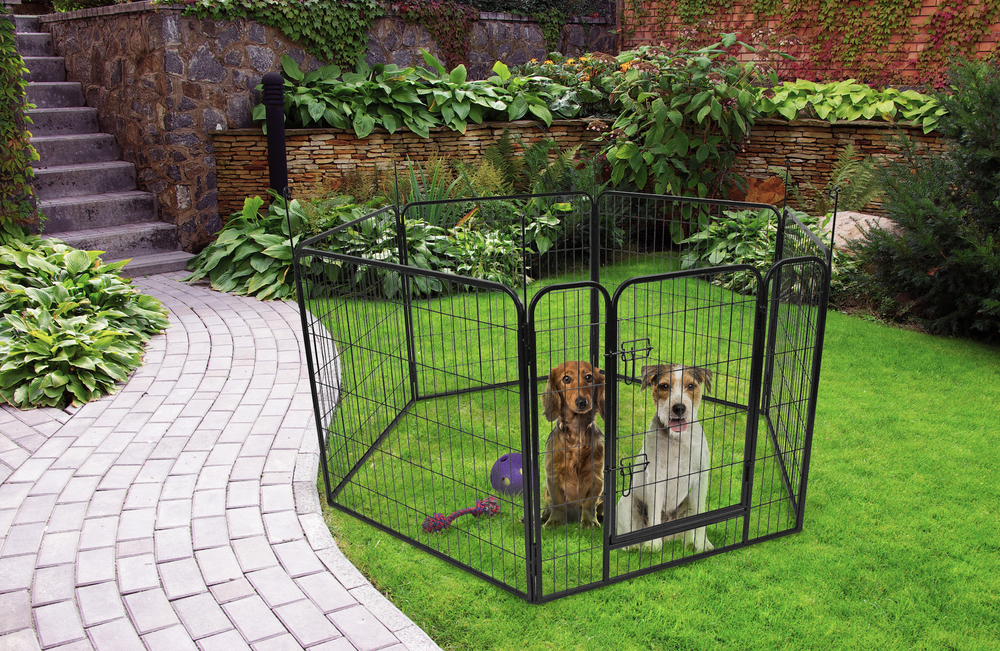Flamingo Kennel Zecta Black