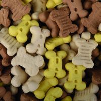 Flamingo Snack Crunch Koekje Puppy treats 
