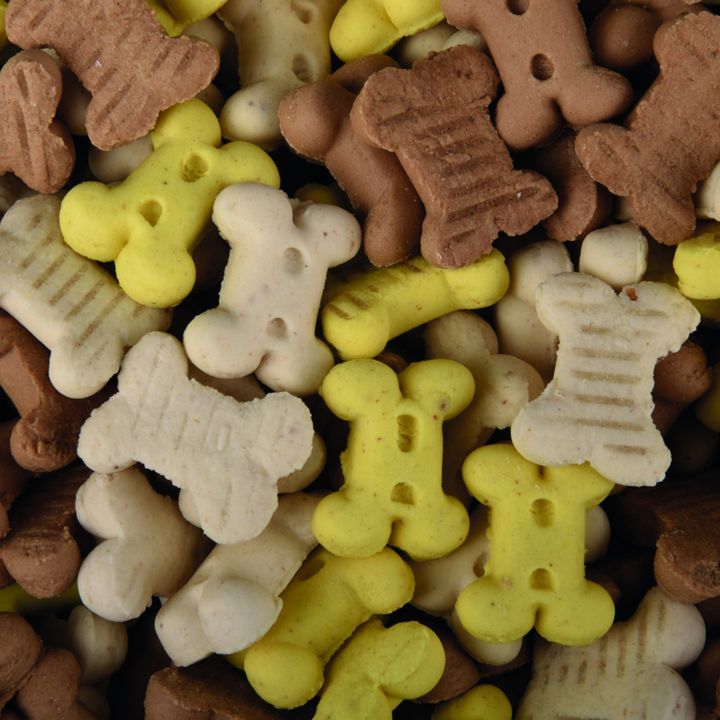 Friandises Crunch Biscuit Puppy treats 519960 Flamingo Pet Products