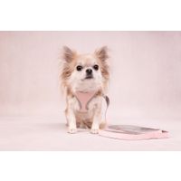 Flamingo Laisse Cub Vieux rose