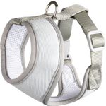 Pettorina Cub Verde menta