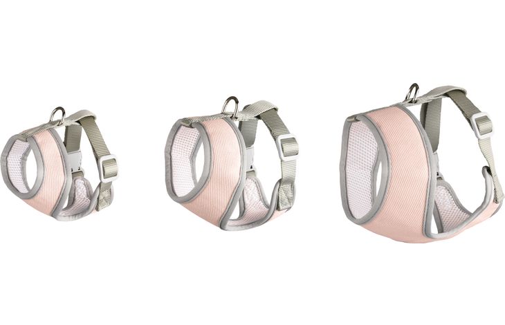 Flamingo Arnés Cub Rosa antigua