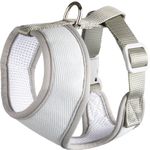  Harness  Cub Mint green