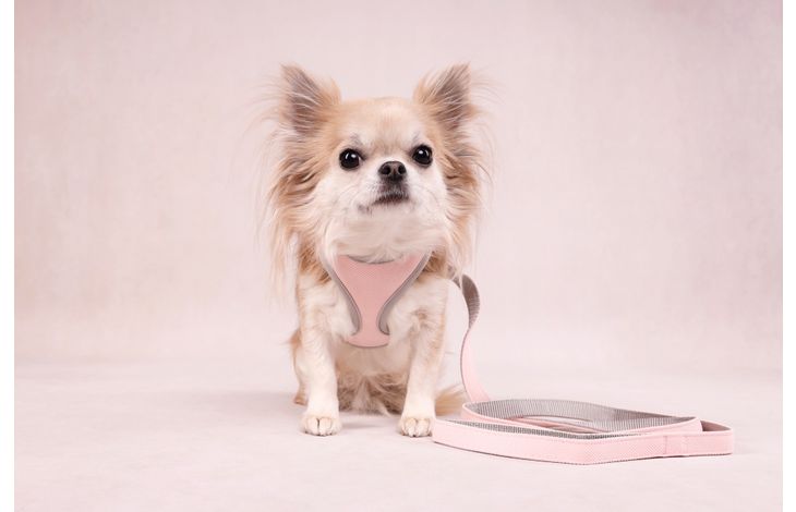 Flamingo Harness Cub Antique pink