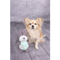 Flamingo Toy Small Dog Cub Rabbit Ikra Grey