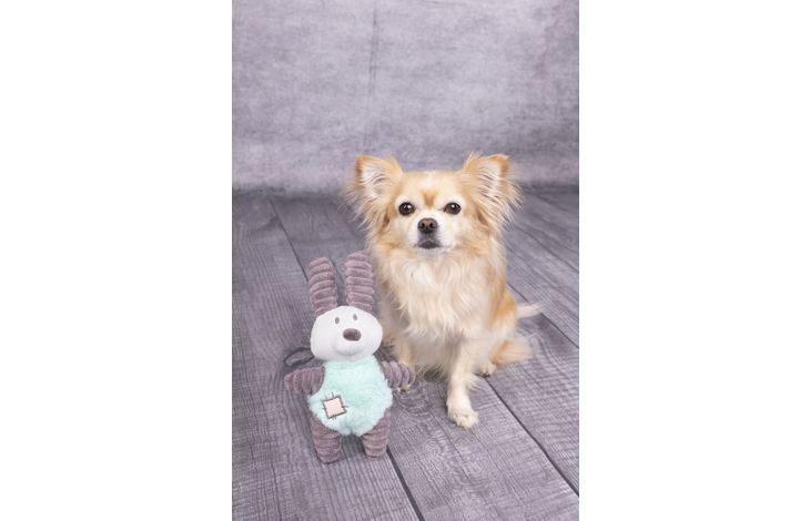 Flamingo Toy Small Dog Cub Rabbit Ikra Grey