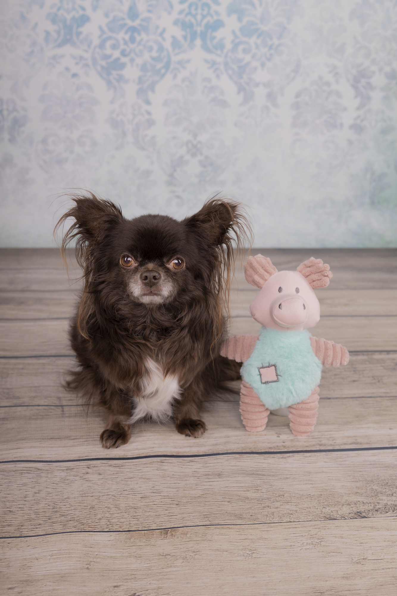 Flamingo Juguete Small Dog Cub Cerdo Ikra Rosa antigua