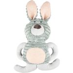 Toy Small Dog Cub Rabbit Ilva Mint green