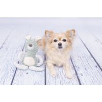 Flamingo Jouet Small Dog Cub Lapin Ilva Vert menthe