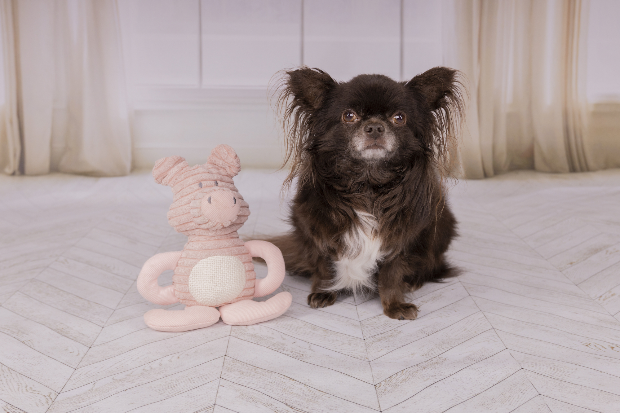 Flamingo Spielzeug Small Dog Cub Schwein Ilva Altrosa