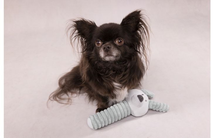 Flamingo Toy Small Dog Cub Rabbit Idil Mint green