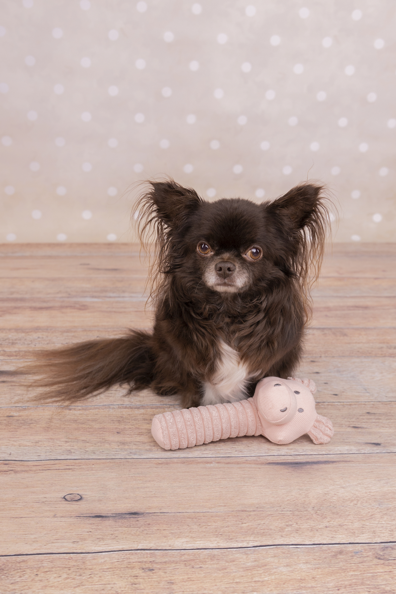 Flamingo Giocattolo Small Dog Cub Maiale Idil Rosa antico