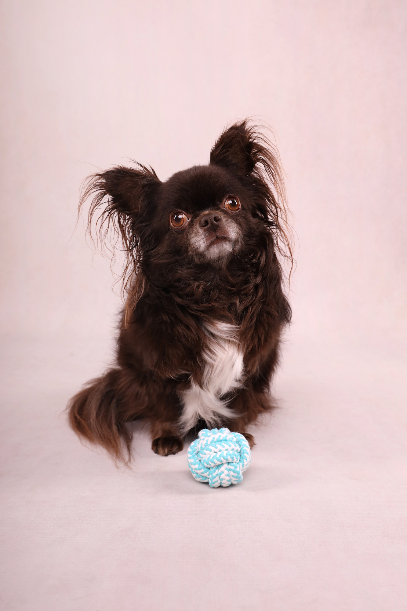 Flamingo Toy Small Dog Cub Knotted ball Ivar Turquoise