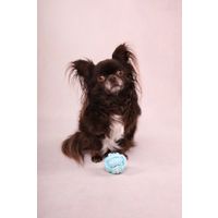 Flamingo Toy Small Dog Cub Knotted ball Ivar Turquoise