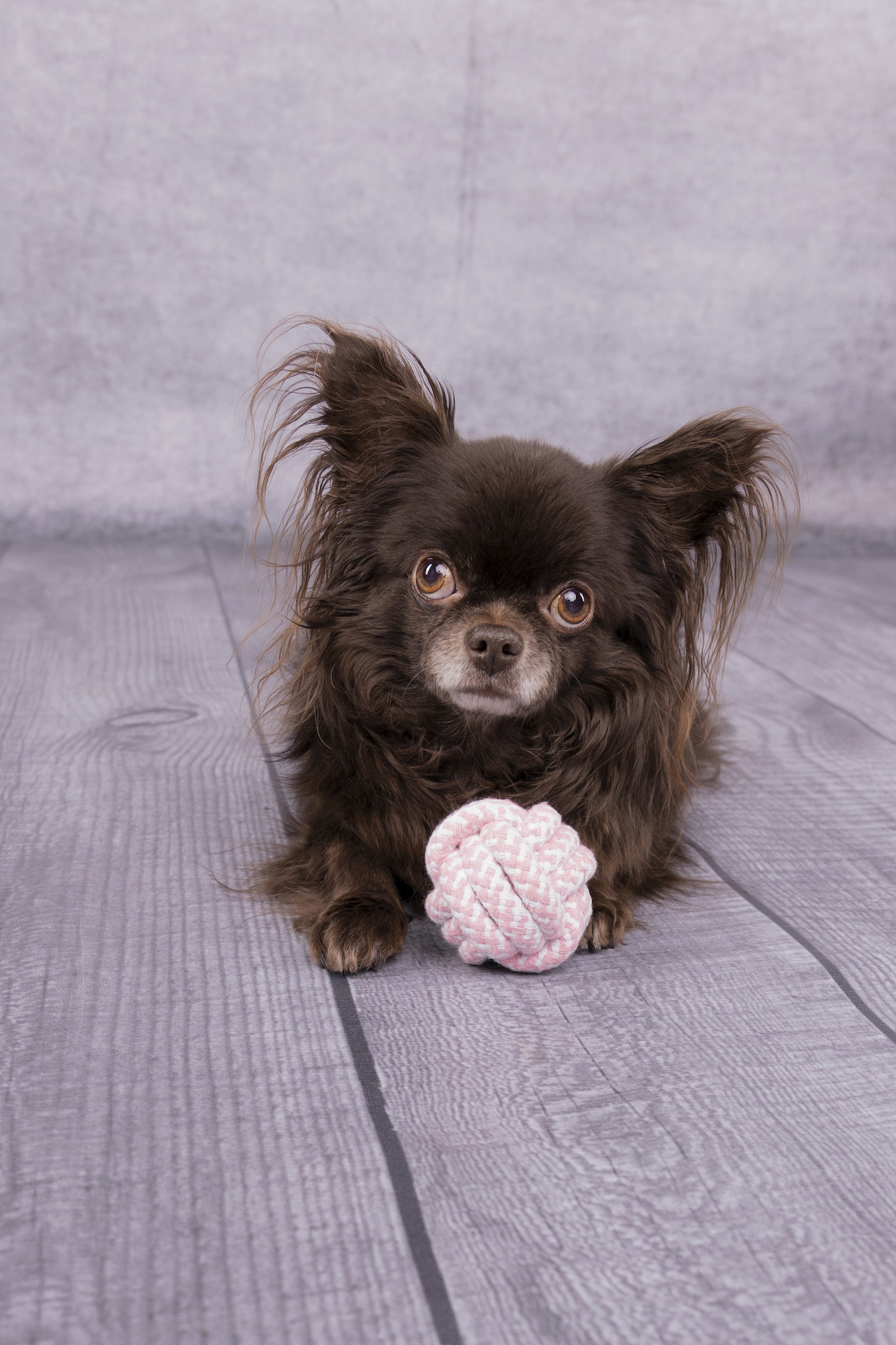 Flamingo Speelgoed Small Dog Cub Knoopbal Ivar Roze