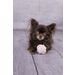 Speelgoed Small Dog Cub Knoopbal Ivar Wit & Roze