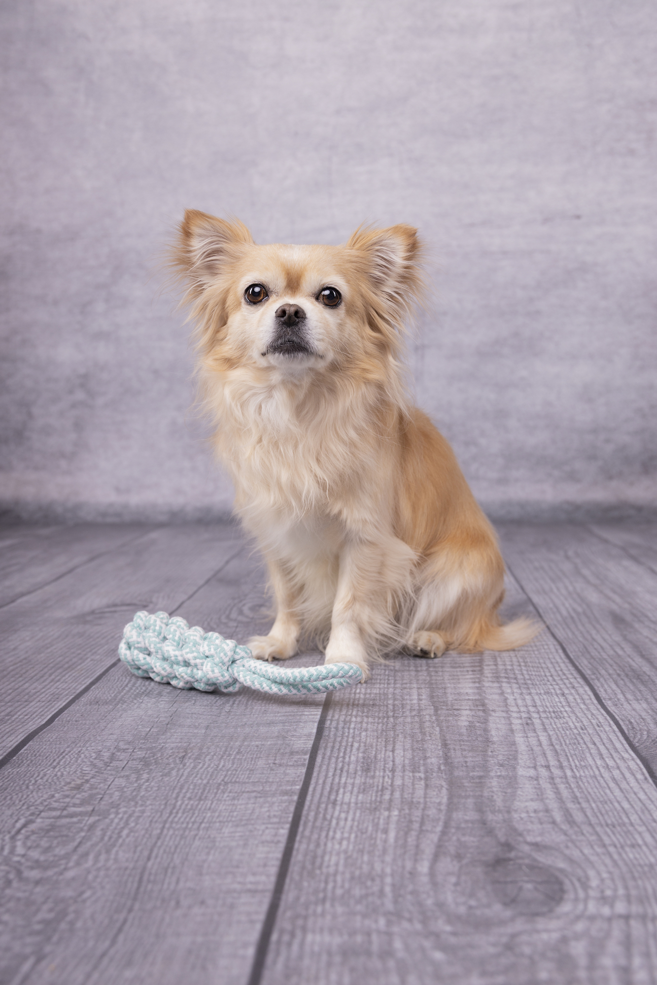 Flamingo Toy Small Dog Cub Tug rope & Stick Woven Ivar Turquoise