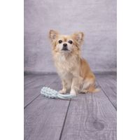 Flamingo Toy Small Dog Cub Tug rope & Stick Woven Ivar Turquoise