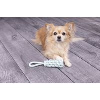 Flamingo Toy Small Dog Cub Tug rope & Stick Woven Ivar Turquoise