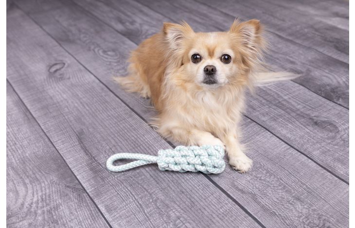 Flamingo Toy Small Dog Cub Tug rope & Stick Woven Ivar Turquoise