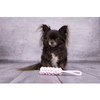 Flamingo Juguete Small Dog Cub Cuerda para tirar & Palo Tejido Ivar Rosa