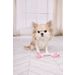Speelgoed Small Dog Cub Touw Izra Wit & Roze