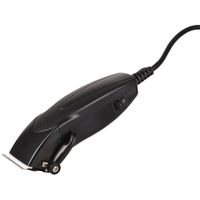 Flamingo Clipper Medusa