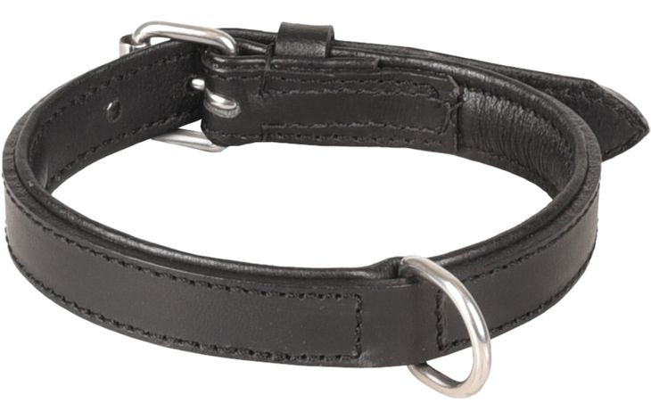 Flamingo Collar Padded Filled Arizona Black