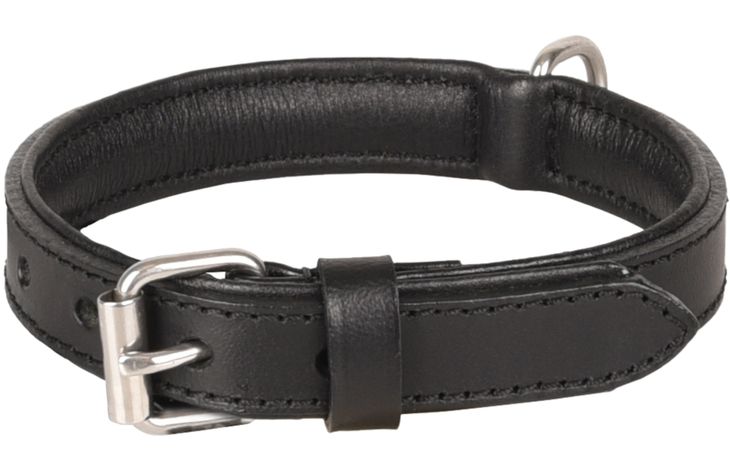 Flamingo Collar Padded Filled Arizona Black
