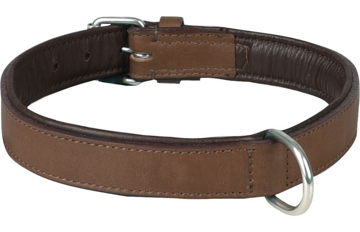 Flamingo Collar Padded Filled Arizona Brown