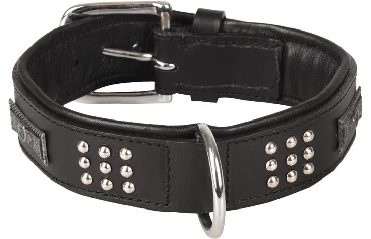 Flamingo Collar Padded Filled Sedona Black