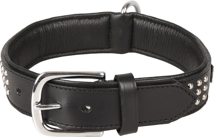 Flamingo Collare Imbottito Riempito Sedona Nero