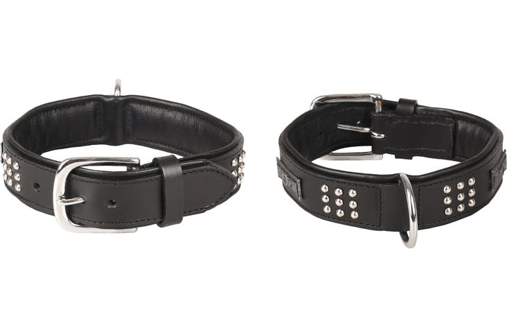 Flamingo Collar Padded Filled Sedona Black