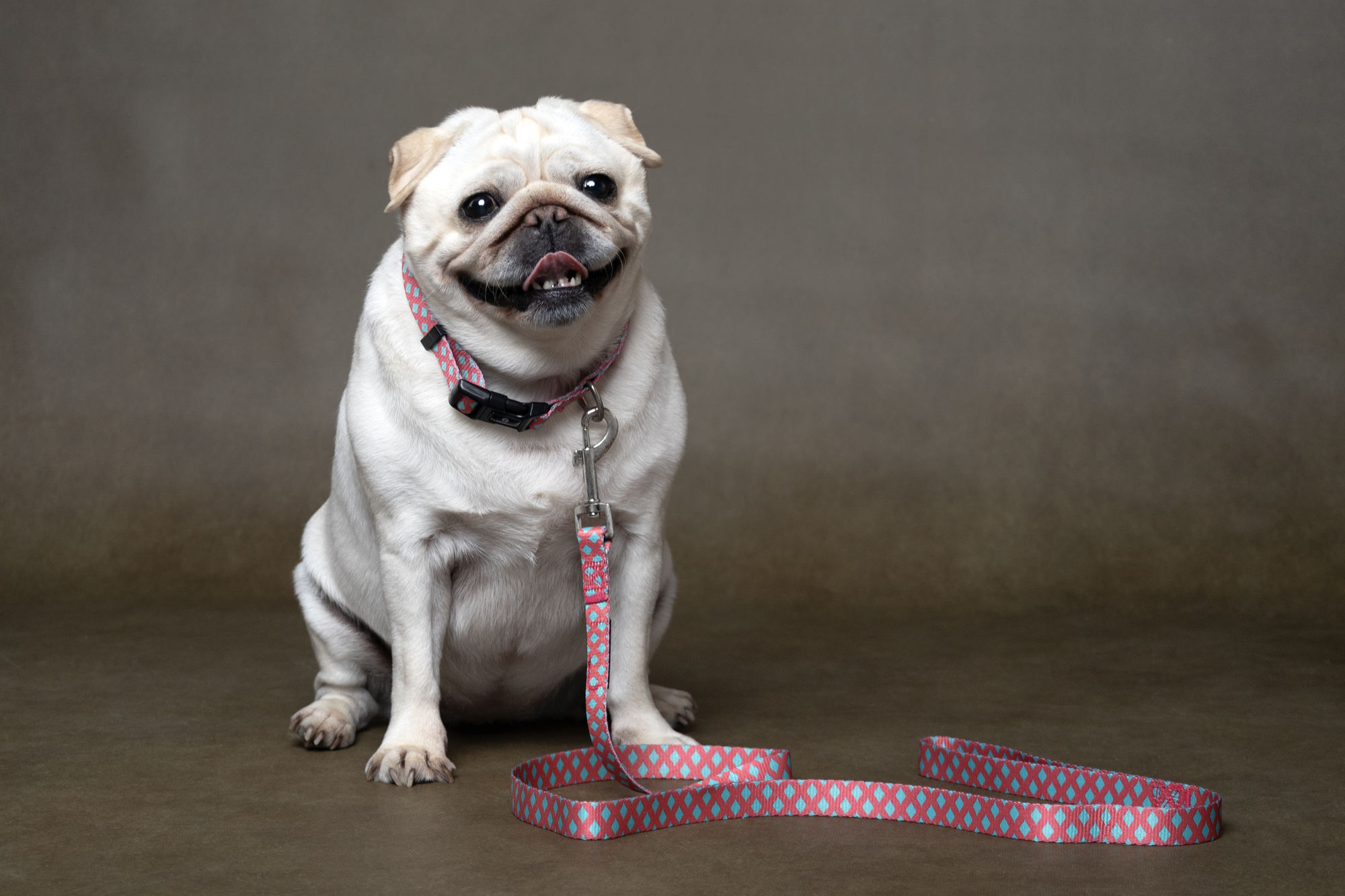 Flamingo Collar Sue Pink