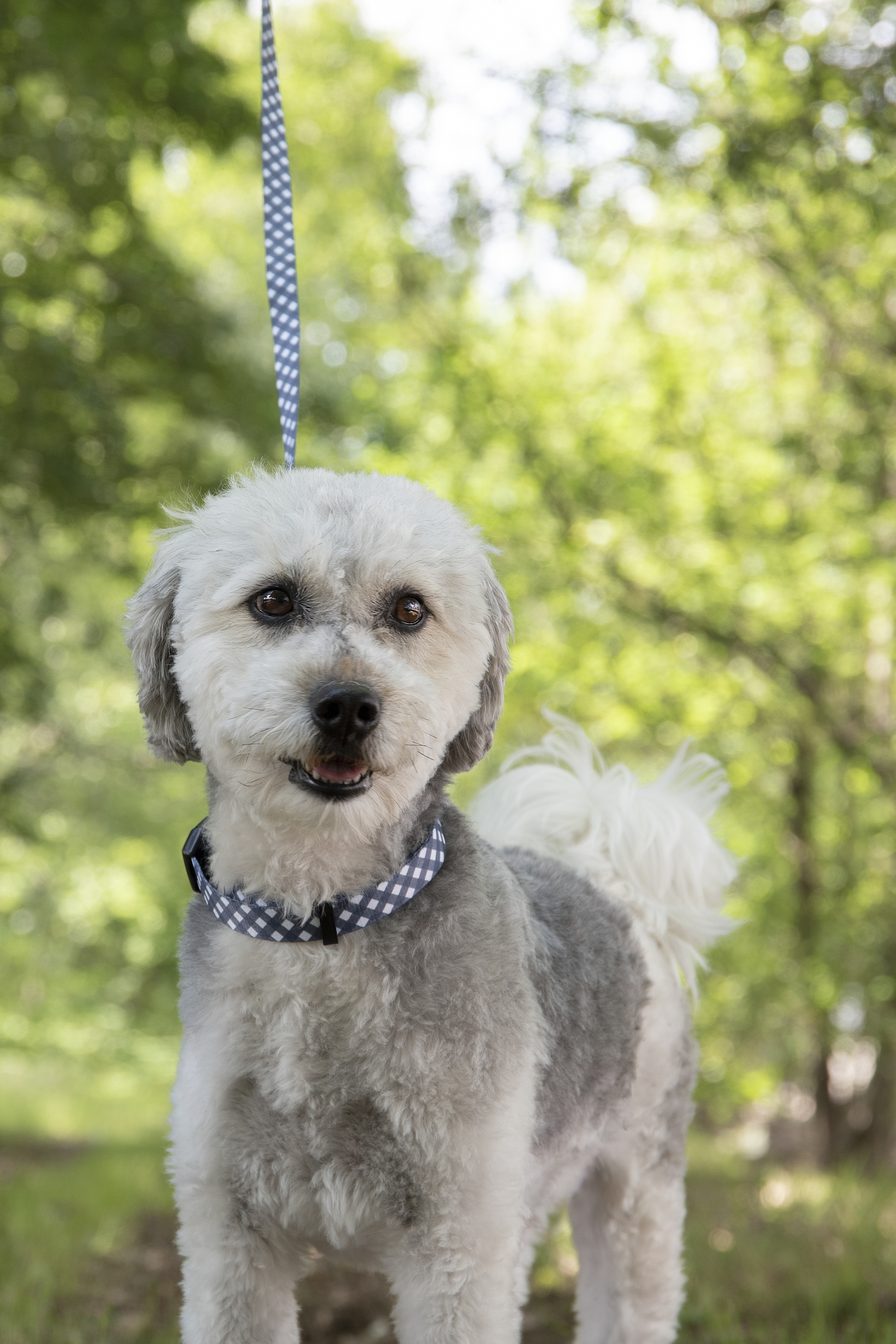 Flamingo Halsband Salome Grijs