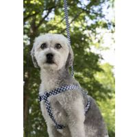 Flamingo Harnas Step&Go Salome Grijs