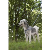 Flamingo Harnas Step&Go Salome Grijs