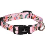 Halsband Sera Roze