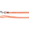 Leine Ziggi Orange