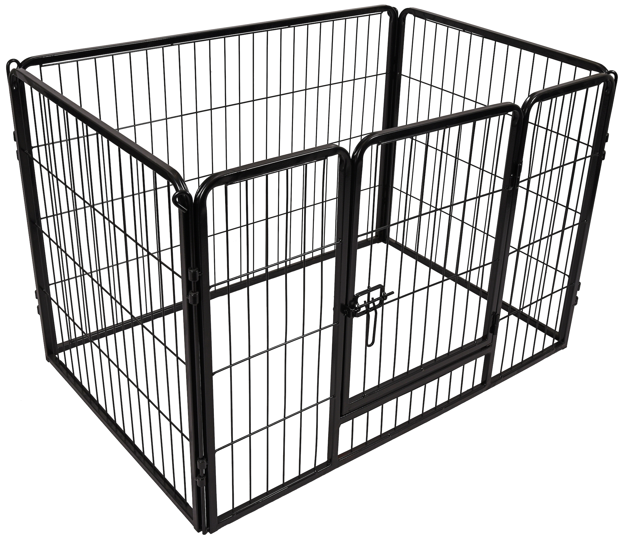 Flamingo Kennel Kazan Nero