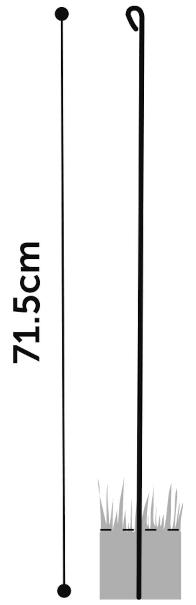 Flamingo Kennel Kazan Nero