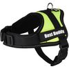 Harness Pluto Fluo green