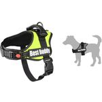 Arnés Pluto Verde fluo