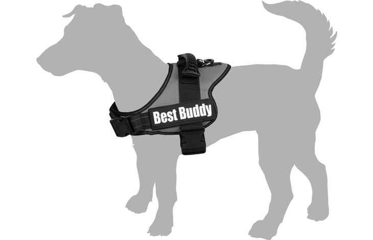 Flamingo Harness Pluto Jungle camouflage