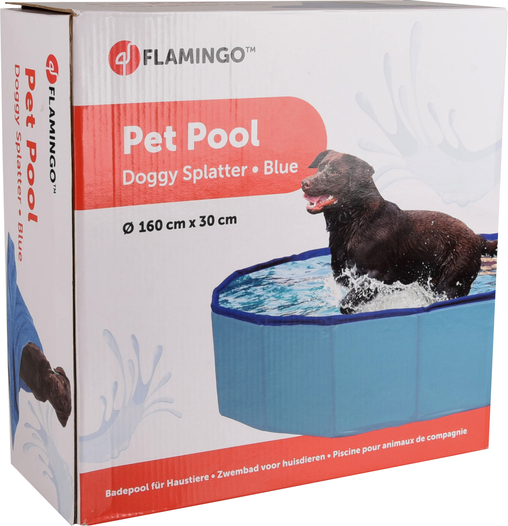 Flamingo Swimming pool Splatter Round Blue